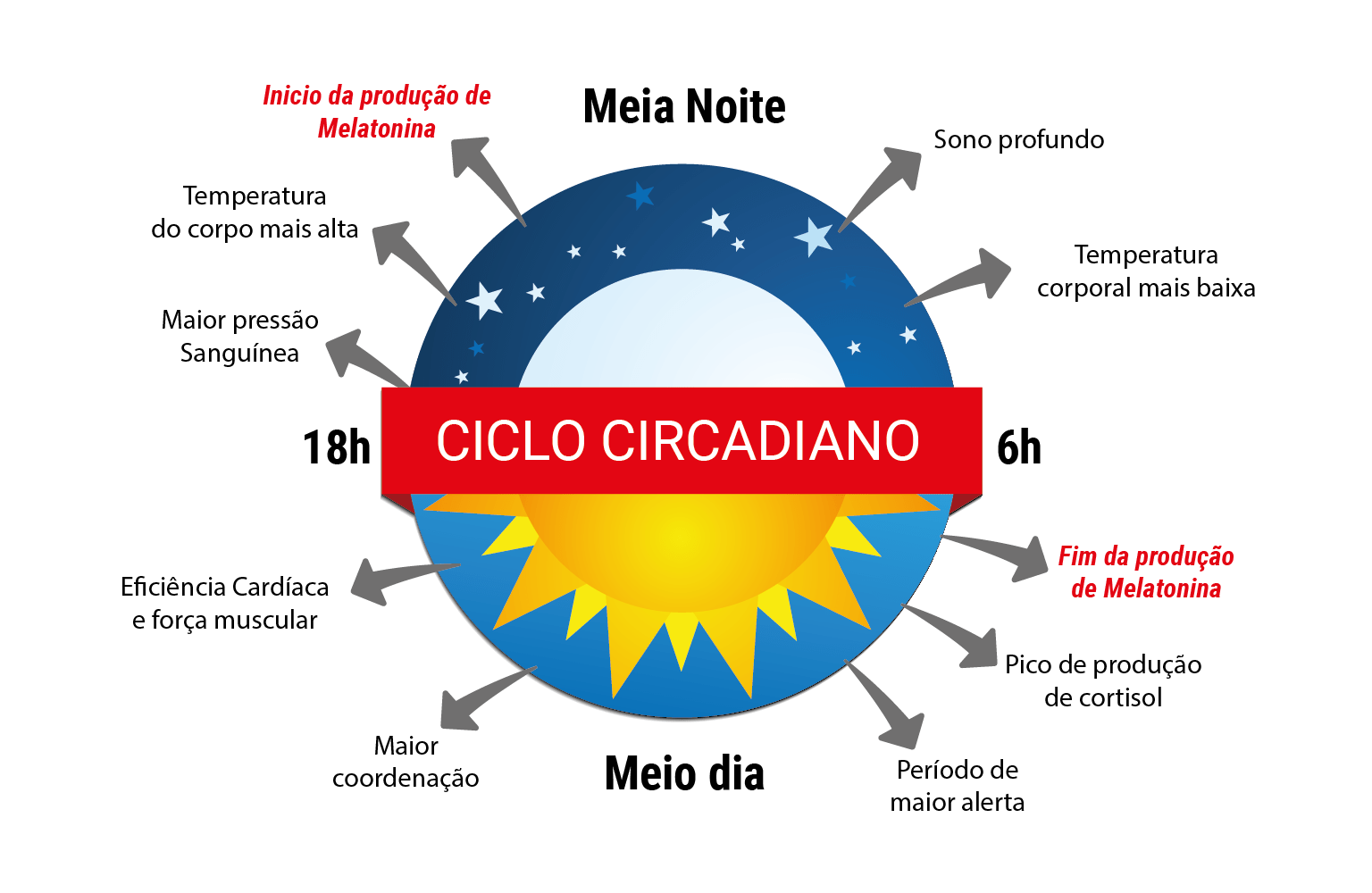 Alessandro azuos ciclo circadiano - Iluminação Cênica e o Ciclo Circadiano
